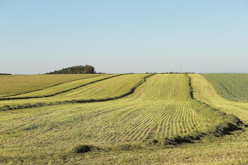 Whimsical vistas